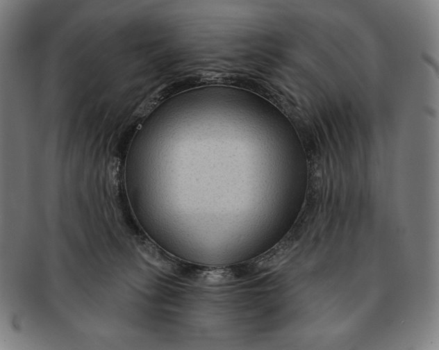 X0000090950275200708301146