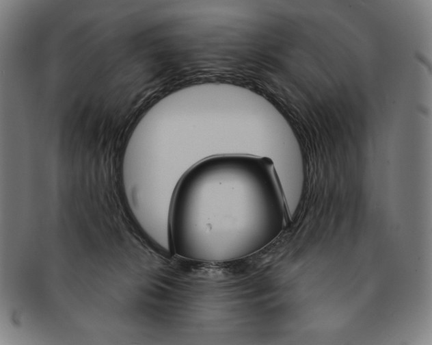X0000090950276200708301146