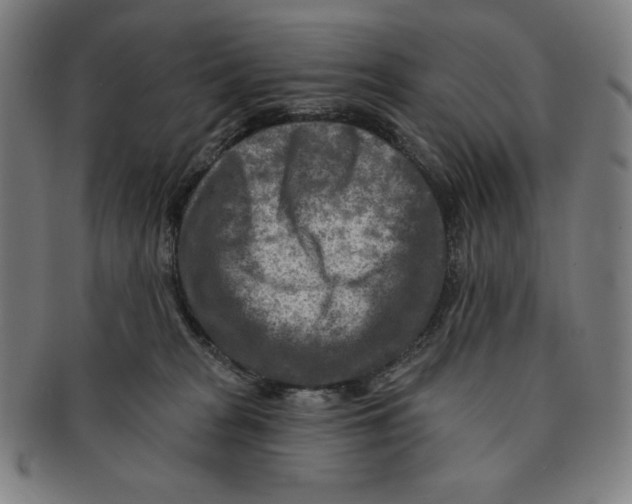 X0000090950277200708301146
