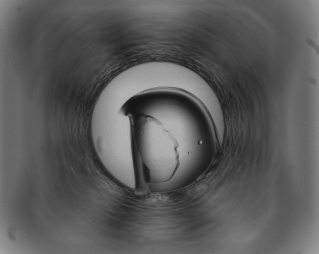 X0000090950278200708301146