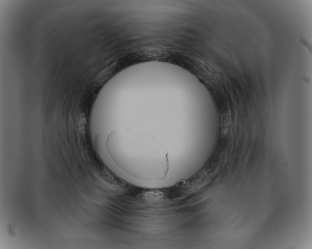 X0000090950279200708301146