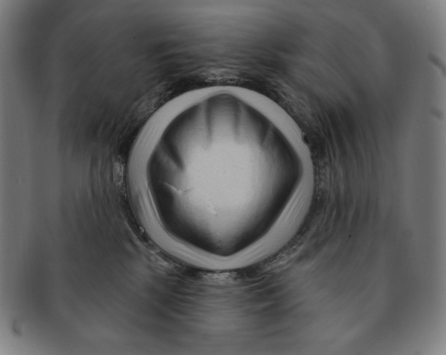 X0000090950281200708301146