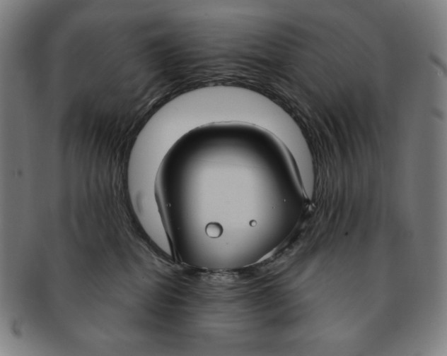 X0000090950282200708301147