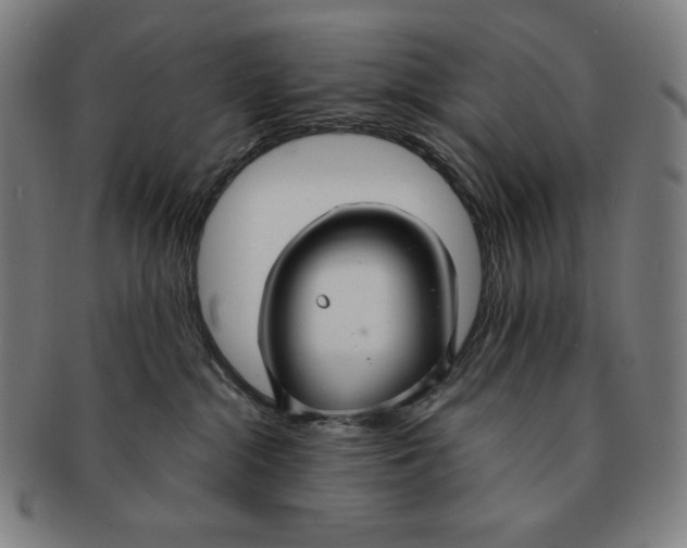 X0000090950284200708301147