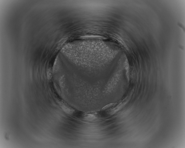 X0000090950285200708301147