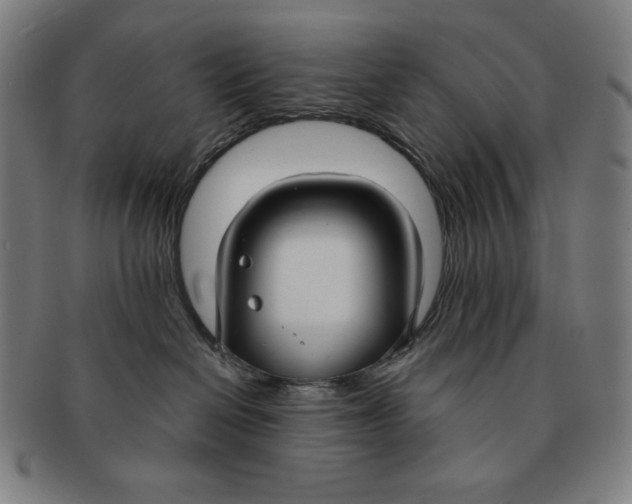 X0000090950286200708301147