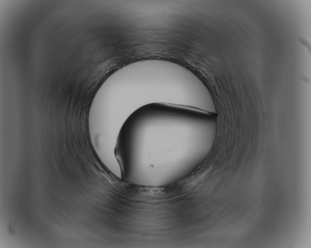 X0000090950288200708301147
