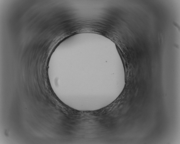X0000090950289200708301146