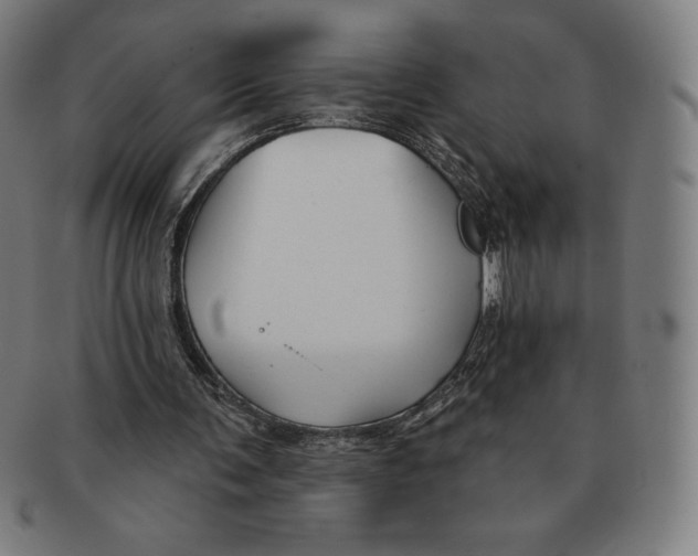 X0000090950291200708301146