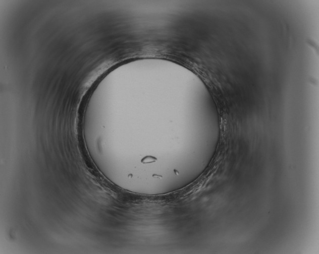 X0000090950292200708301146