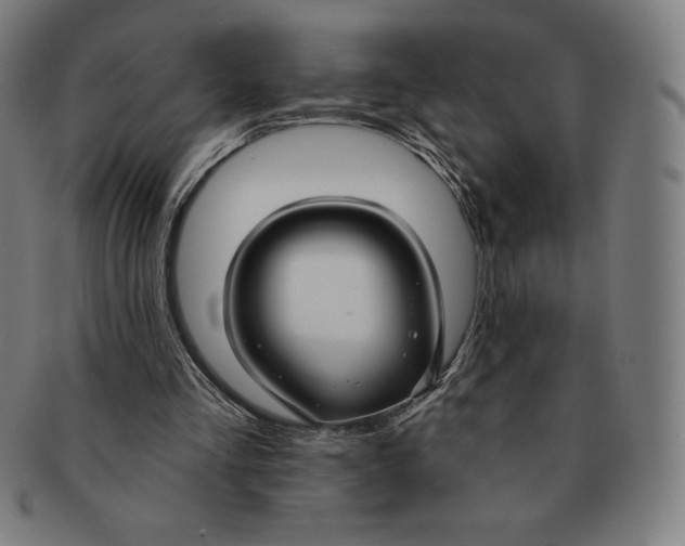 X0000090950293200708301146