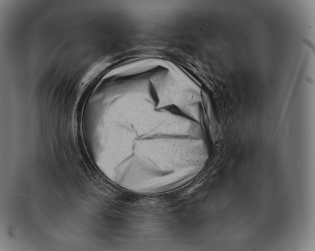 X0000090950294200708301146