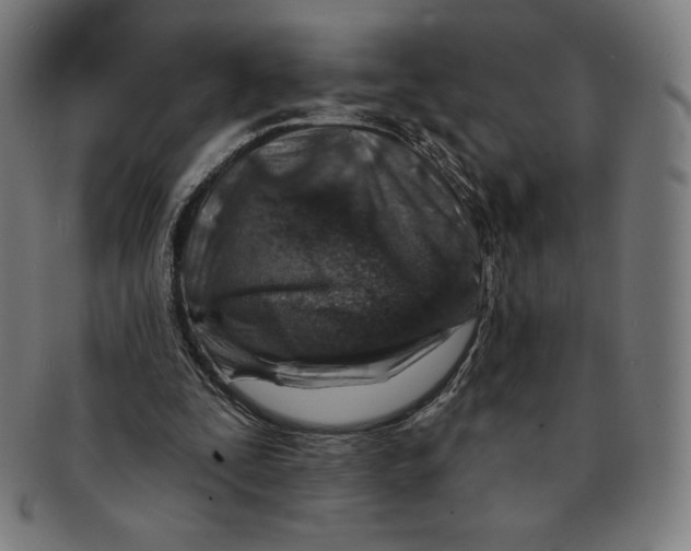 X0000090950295200708301146