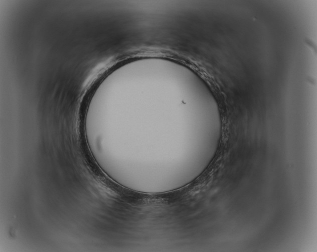 X0000090950296200708301146