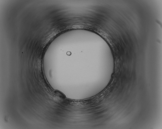 X0000090950297200708301146
