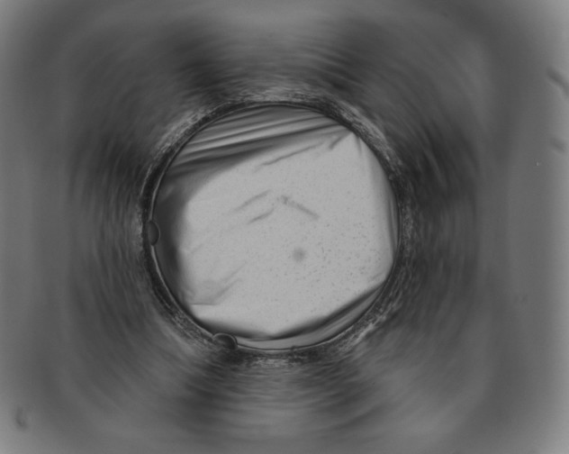 X0000090950298200708301146