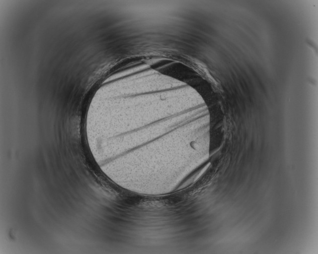 X0000090950299200708301146