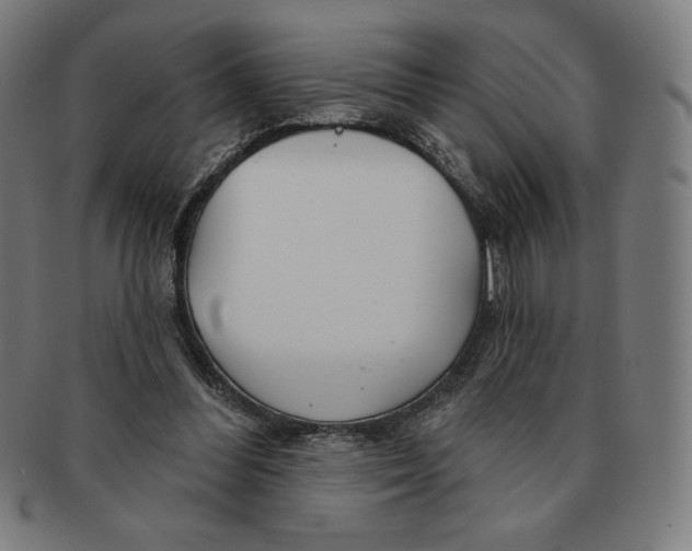 X0000090950300200708301146