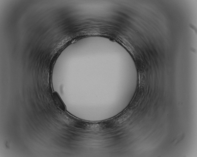 X0000090950301200708301146