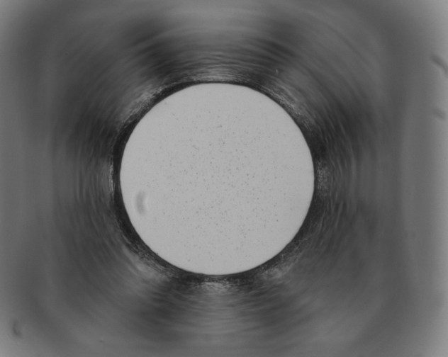X0000090950302200708301146