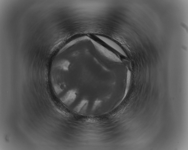 X0000090950303200708301146