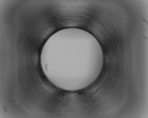 X0000090950304200708301146