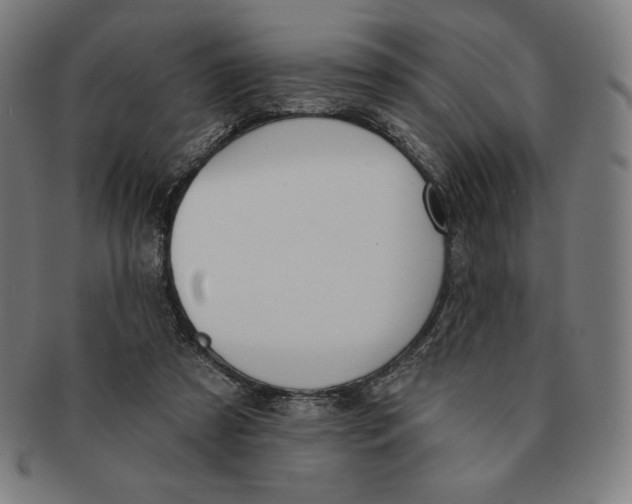 X0000090950305200708301146