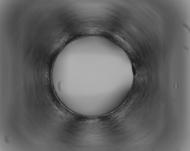 X0000090950306200708301146