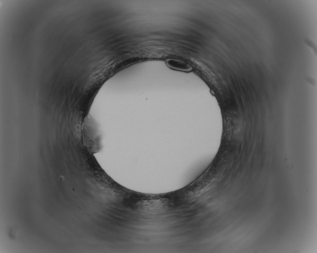 X0000090950307200708301146