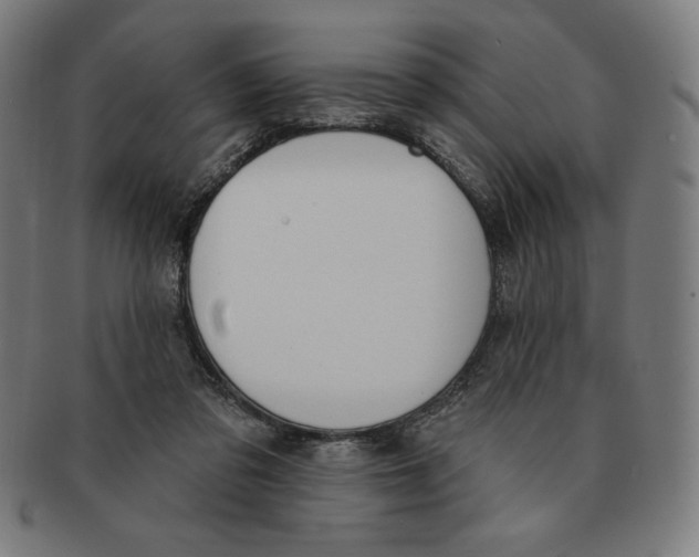 X0000090950309200708301146