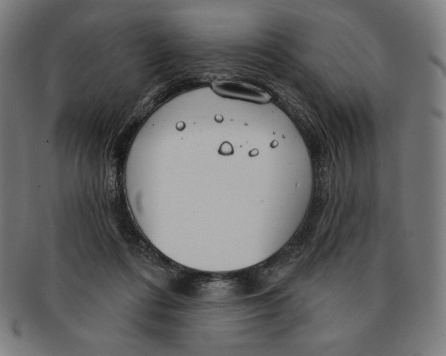 X0000090950312200708301146