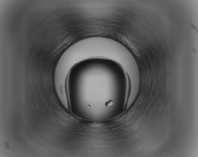 X0000090950313200708301146