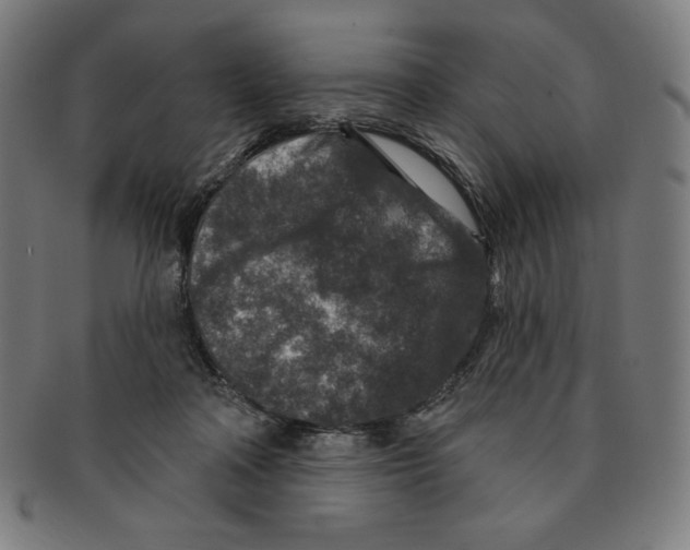 X0000090950314200708301146