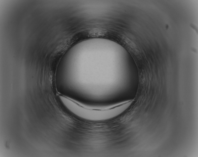 X0000090950315200708301146
