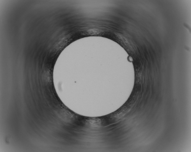 X0000090950317200708301146