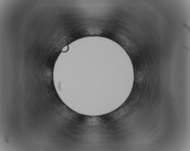 X0000090950321200708301145