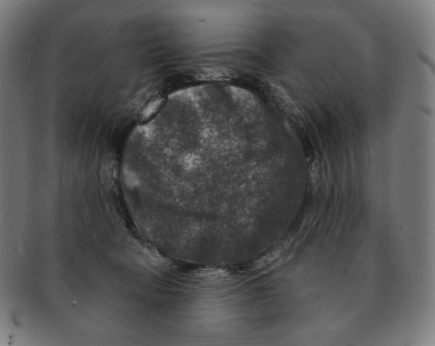 X0000090950322200708301145