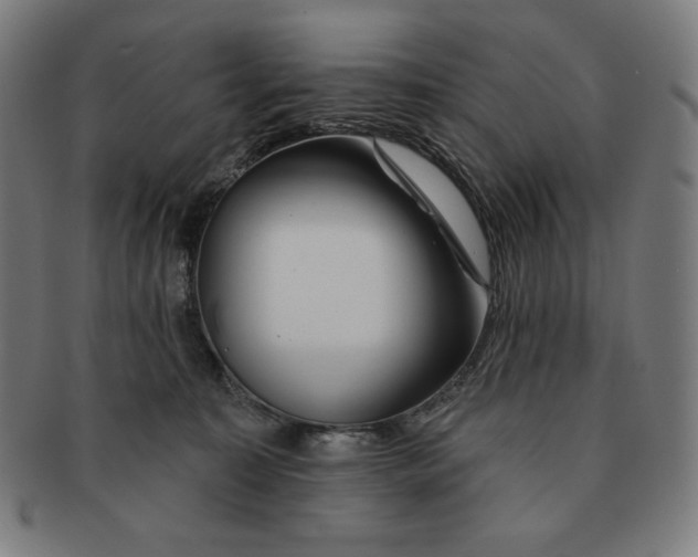 X0000090950323200708301145