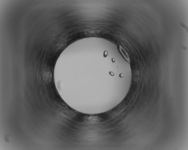 X0000090950324200708301145