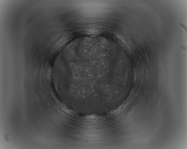 X0000090950325200708301145