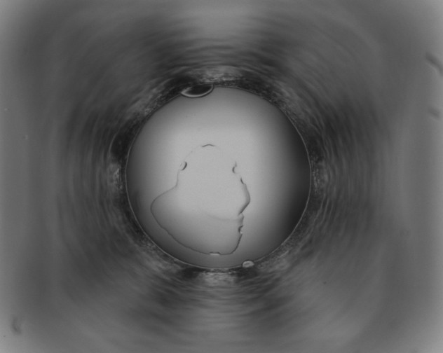 X0000090950327200708301145