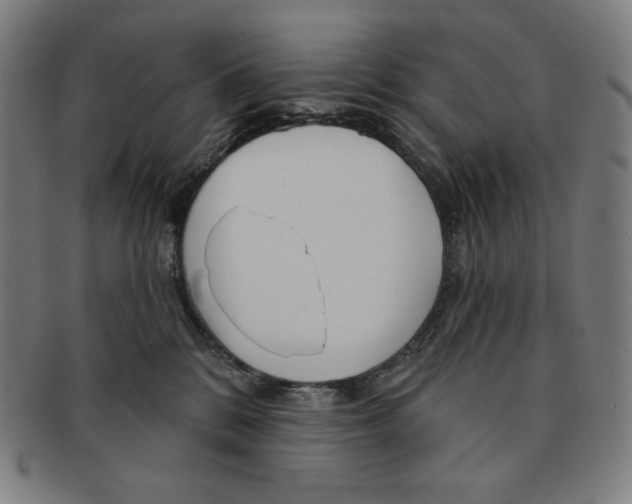 X0000090950328200708301145