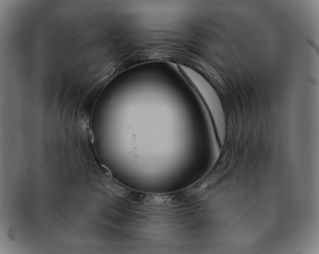 X0000090950329200708301145