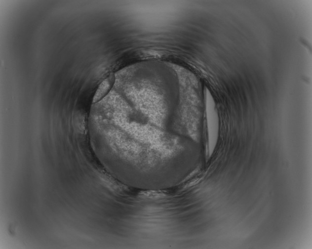 X0000090950331200708301145
