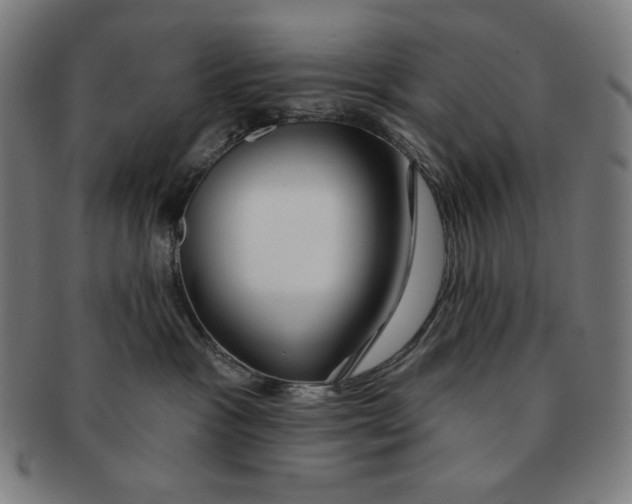 X0000090950333200708301145