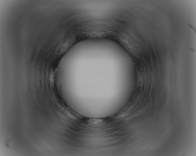 X0000090950334200708301145