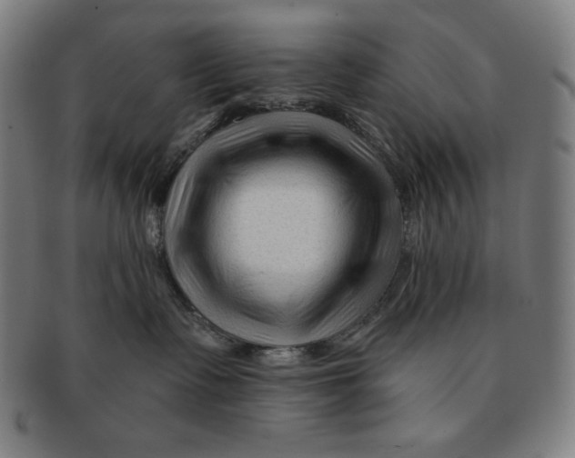 X0000090950335200708301145