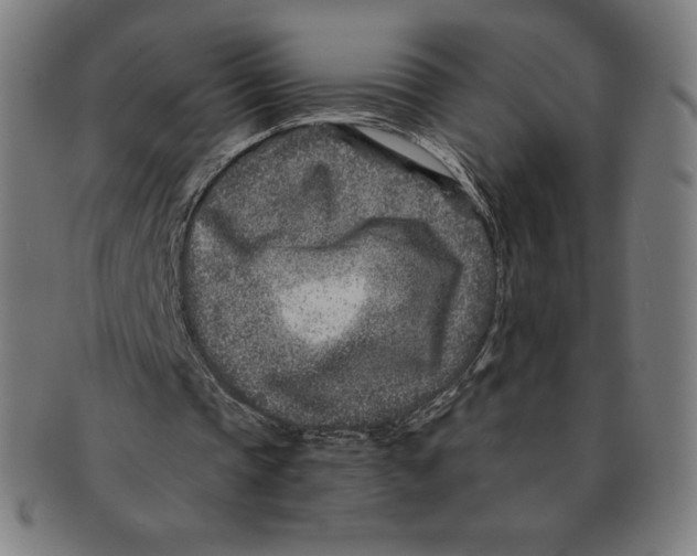 X0000090950337200708301145