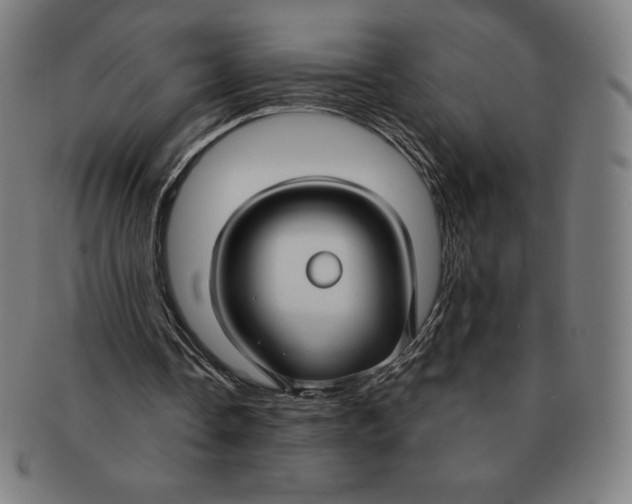 X0000090950338200708301145