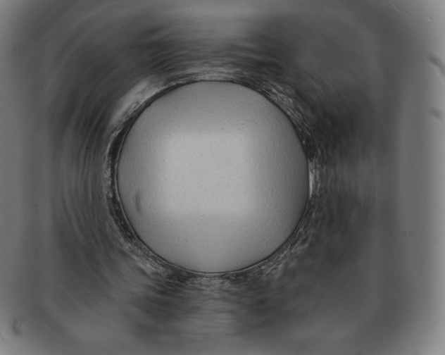 X0000090950339200708301145